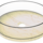 Onyx Light Small
